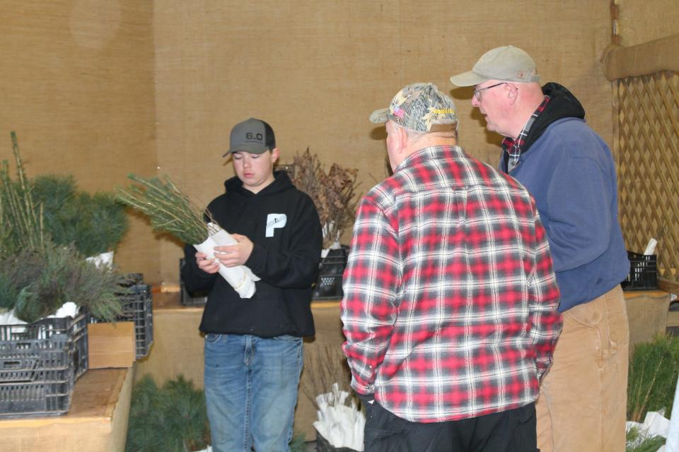Clear Fork Future Farmers of America are selling tree seedlings again this year on March 22 from 8 a.m. to noon or until all seedlings are gone at the high school back parking lot.