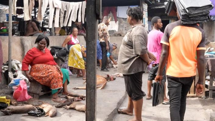 Mercado de carne de animales silvestres en Camerún