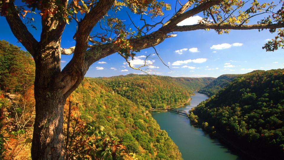 Coopers Rock State Forest, West Virginia