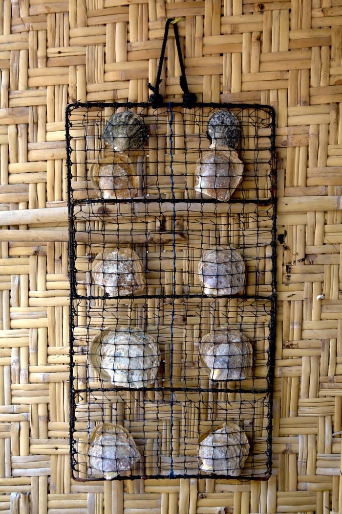 A bendera: To show the process of how a pearl grows, a sample "bendera" is displayed at Autore pearl farm for visitors to see. Maintaining a pearl requires huge committment. To prevent any parasites and barnacles from attaching themselves to the nets, nets and oysters must be regularly cleaned and inspected.