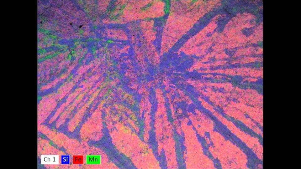 SEM-EDS map that shows concentrations of Fe, Mn, and Si in the blade-like structures, supporting the hypothesis that the specimen is a fossil and not a collection of mineral growths.