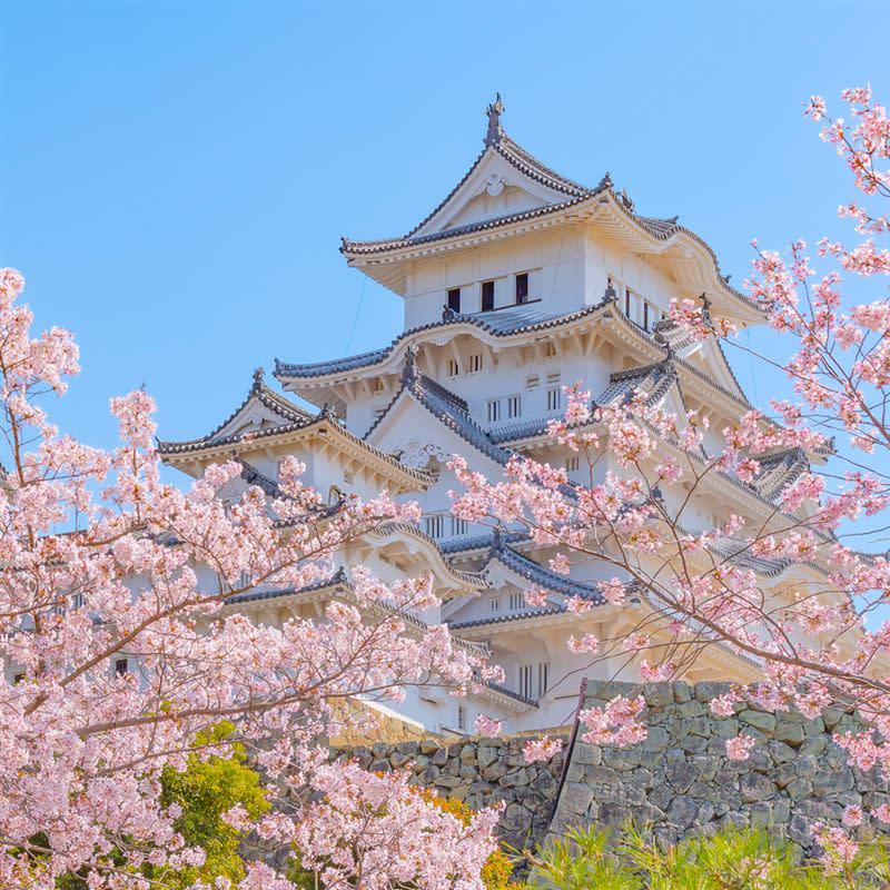 春遊日韓賞櫻，遠傳原號漫遊超划算!漫遊上網一天僅10元起　再抽東京、首爾機票。