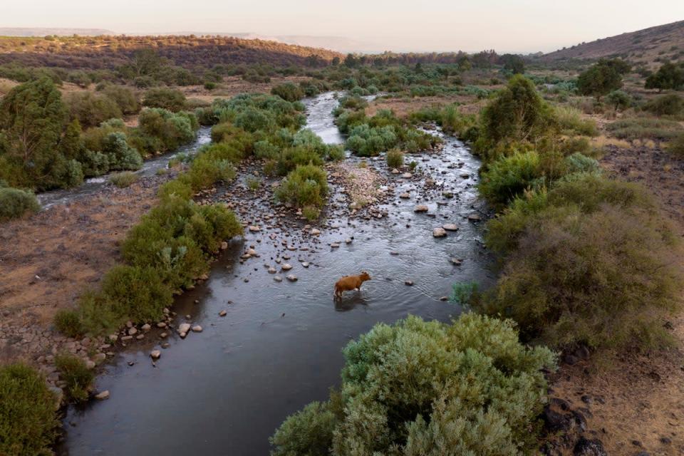 Sacred Rivers-Jordan River (Copyright 2017 The Associated Press. Tous droits réservés.)