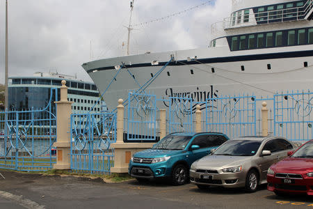 A 440-foot ship owned and operated by the Church of Scientology, SMV Freewinds, is docked under quarantine from a measles outbreak in port near Castries, St. Lucia, May 2, 2019. REUTERS/Micah George