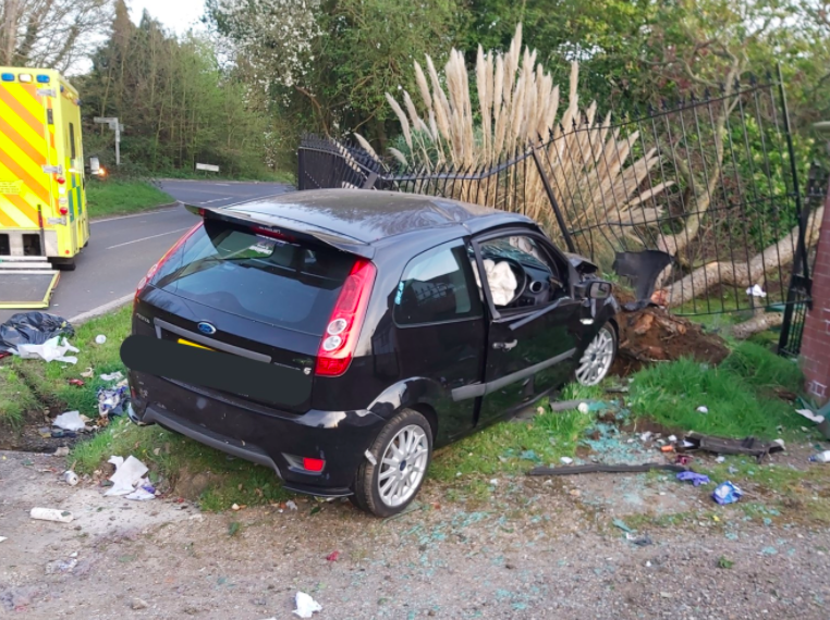 Police criticised the driver for breaking lockdown guidelines. (Twitter/@EP_RPU_South)