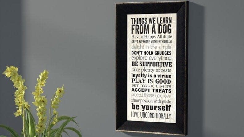 Here are all the lessons we can learn from our four-legged friends.