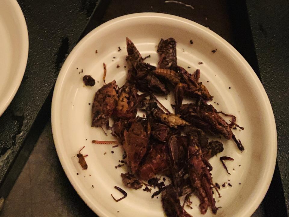 fried grasshoppers that come with tequila in the mexico pavilion at epcot