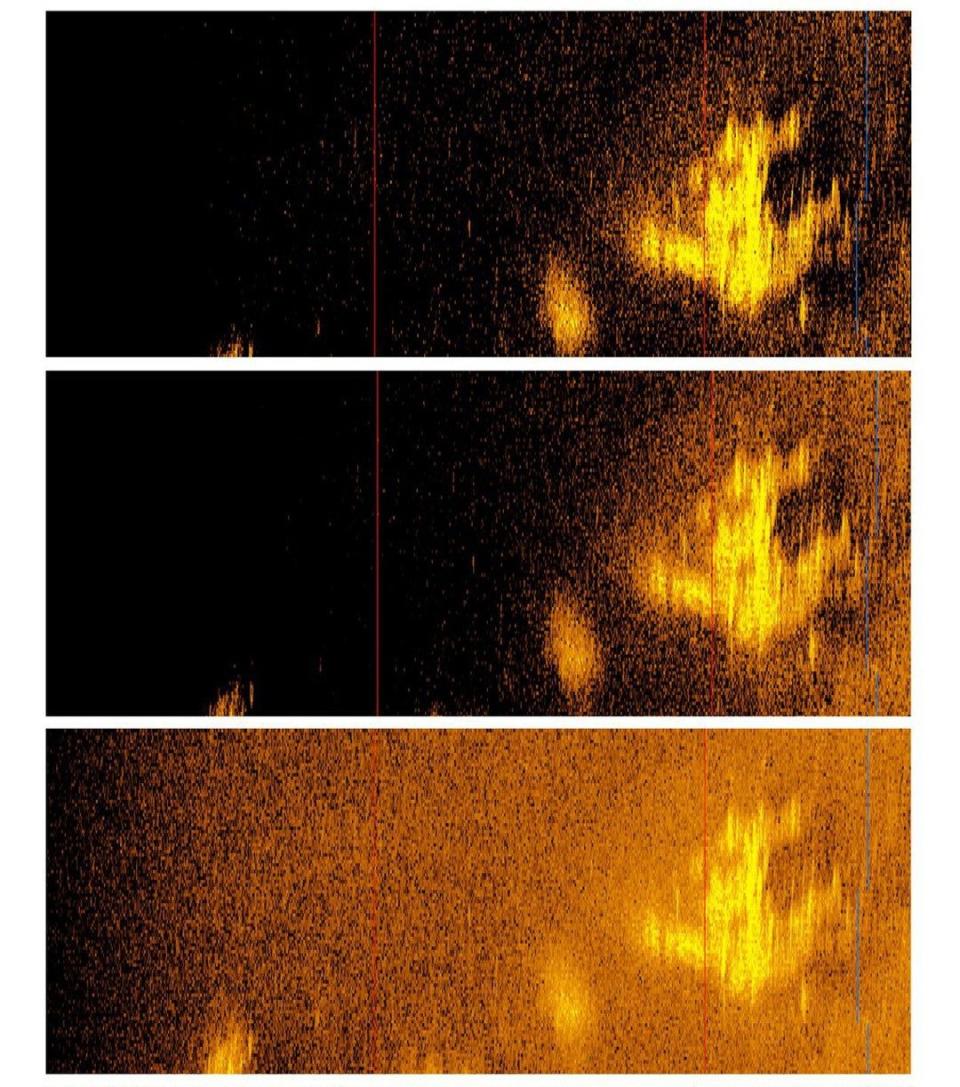 Sonar image of a blurry, plane-like shape 5,000 meters below in the Pacific