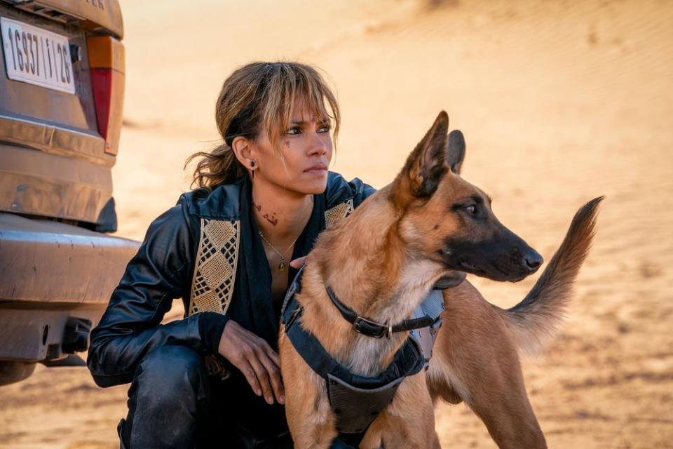 John Wick 3: Let the Halle Berry renaissance begin