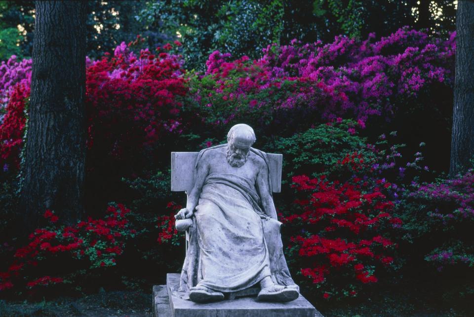 He asked the big questions, and he paid a price. <a href="https://www.gettyimages.com/detail/photo/sokrates-statue-in-the-parco-civico-of-lugano-royalty-free-image/519981918?phrase=socrates%20dying&adppopup=true" rel="nofollow noopener" target="_blank" data-ylk="slk:Roland Gerth/The Image Bank via Getty Images;elm:context_link;itc:0;sec:content-canvas" class="link ">Roland Gerth/The Image Bank via Getty Images</a>