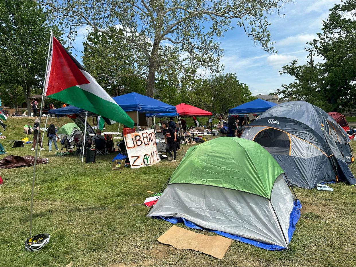 A bunch of tents on a green lawn with flags of Palestine