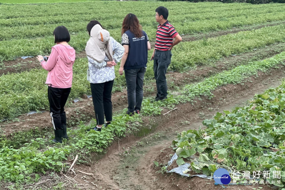 桃市府農業局邀相關單位人員至轄區受災農地勘查災損情況。<br /><br />
