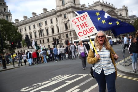An anti-Brexit protester walkswith a placard outside the Houses of the Parliament in London