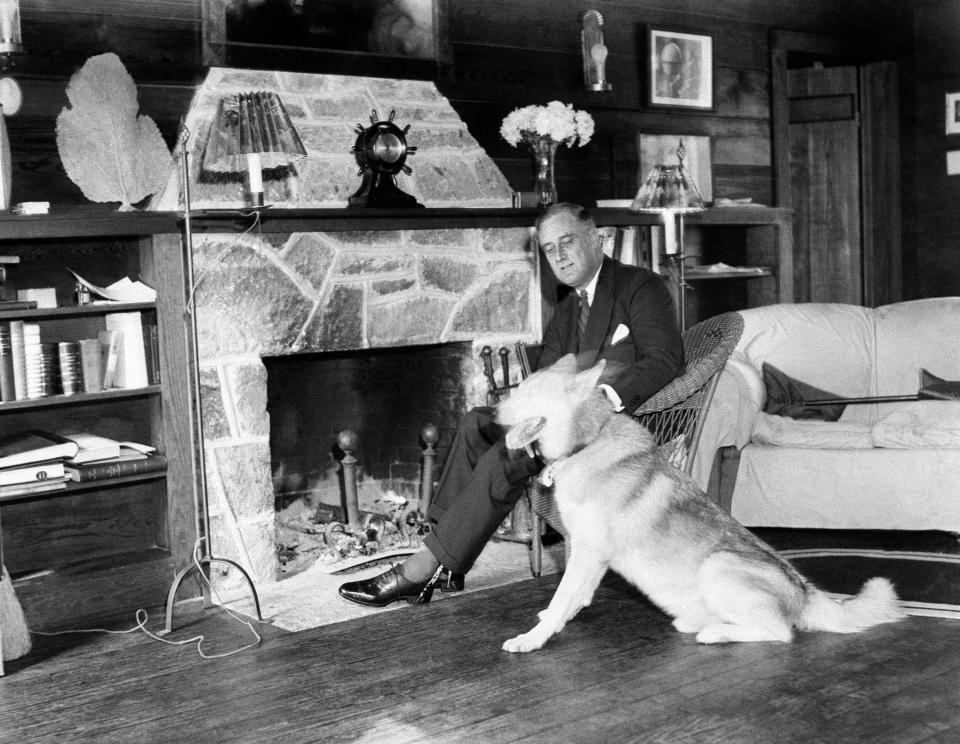 Franklin D. Roosevelt with pet dog, Major, a German shepherd.