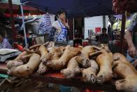 <p>In der chinesischen Stadt Yulin im Südosten des Landes hat unter großen Protesten das alljährliche Hundefleisch-Festival begonnen, bei dem voraussichtlich rund 10.000 Vierbeiner geschlachtet werden sollen. (Bild: Wu Hong/EPA/dpa) </p>