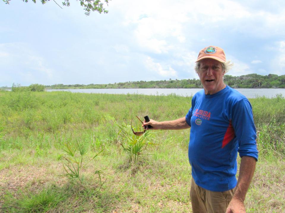 Environmental guru and president of the Friends of Gamble Rogers State Park, Paul Haydt along the marshes in the park along the intracoastal waterway.