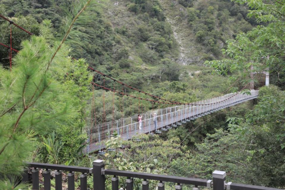 市長盧秀燕等人前往谷關捎來吊橋視察。（記者徐義雄攝）