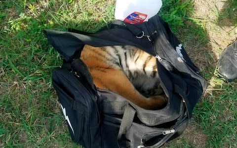 A duffel bag containing a tiger cub that was seized at the border near Brownsville, Texas - Credit:  U.S. Customs and Border Protection