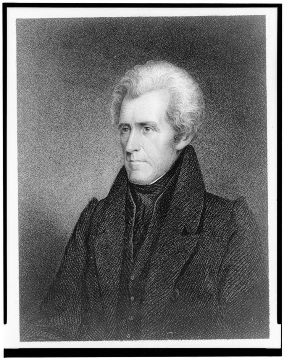 A portrait of Andrew Jackson, the seventh U.S. president. Thomas Jefferson said 'His passions are terrible.'