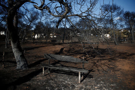 A burnt bench is seen in a camping following a wildfire in the village of Mati, near Athens, Greece, July 27, 2018. REUTERS/Costas Baltas