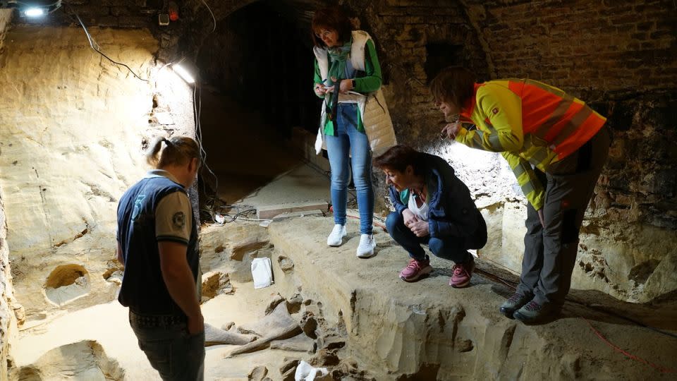 The excavated area is relatively small, so the team hopes to return later this summer to continue their research.  - H. Parow-Souchon/OeAW-OeAI