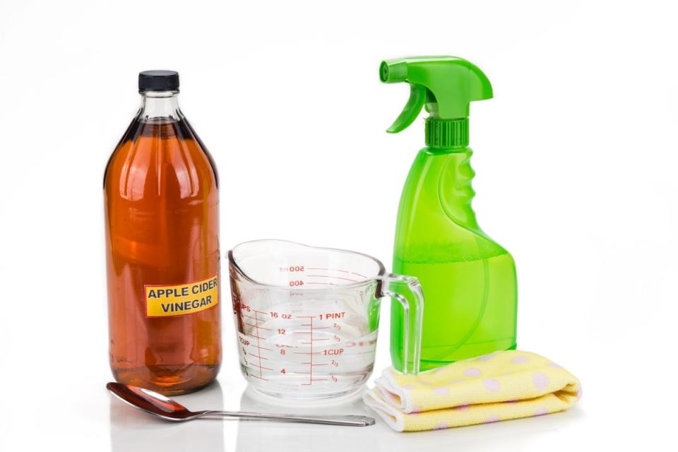 Apple cider vinegar, measuring cup, spoon, cloth, and spray bottle