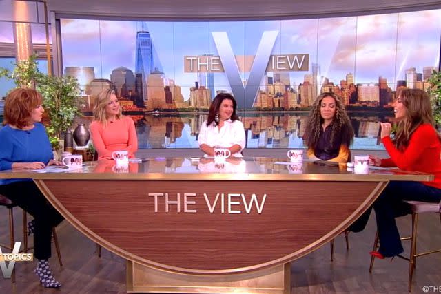 <p>ABC</p> The View cast