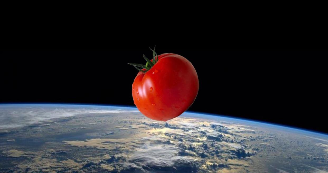 Después de ocho meses perdido... ha aparecido el tomate de la ISS