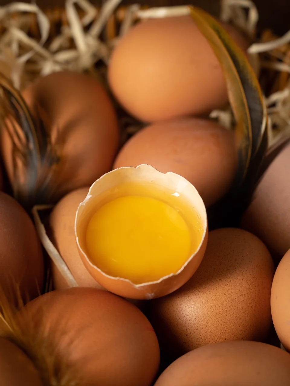 Huevos dentro del gallinero, escena interior de la granja, huevos frescos y tejado de paja.