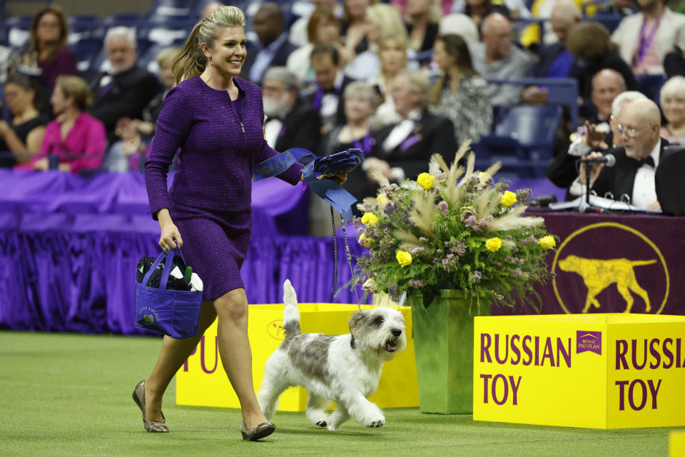 (Photo by Sarah Stier/Getty Images for Westminster Kennel Club)