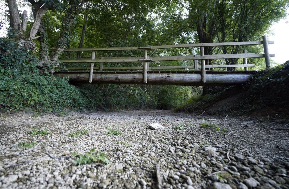 A view of a dried-up river bed of the River Thames near to Somerford Keynes in Gloucestershire (Andrew Matthews/PA) (PA Wire)