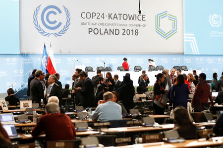 Participants take part in plenary session, during the final day of the COP24 U.N. Climate Change Conference 2018 in Katowice, Poland, December 14, 2018. REUTERS/Kacper Pempel