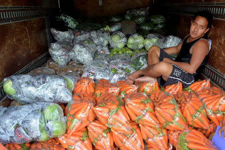 A worker rests on top of vegetables inside the back of a truck at a vegetable market a day after Typhoon Haima hit La Trinidad, Benguet province, Philippines October 21, 2016. REUTERS/Ezra Acayan