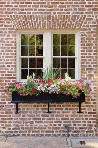 Photo: Ralph Anderson, Window Box Design: Tracee Lund