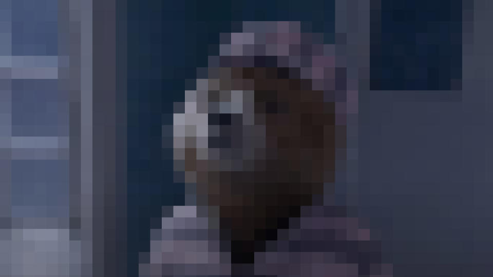 Paddington looking up in his prison uniform in Paddington 2, pixelated.