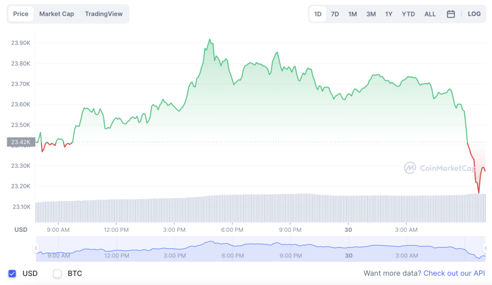 La variación del precio del Bitcoin en lo que va del año. Fuente: coinmarketcap.com.