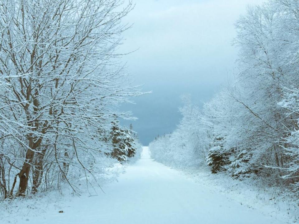 A P.E.I. trail is shown covered in snow. Tourism P.E.I. is launching marketing initiatives this winter for Maritimers looking to visit the Island. (Submitted by Tania Sa'n Knockwood - image credit)