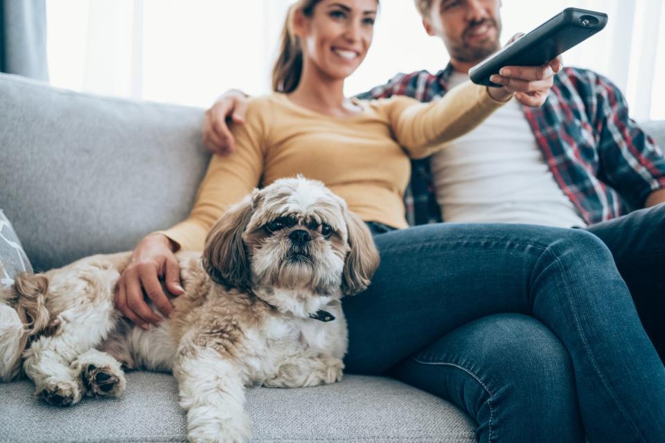 A couple and their dog channel surf from the couch.