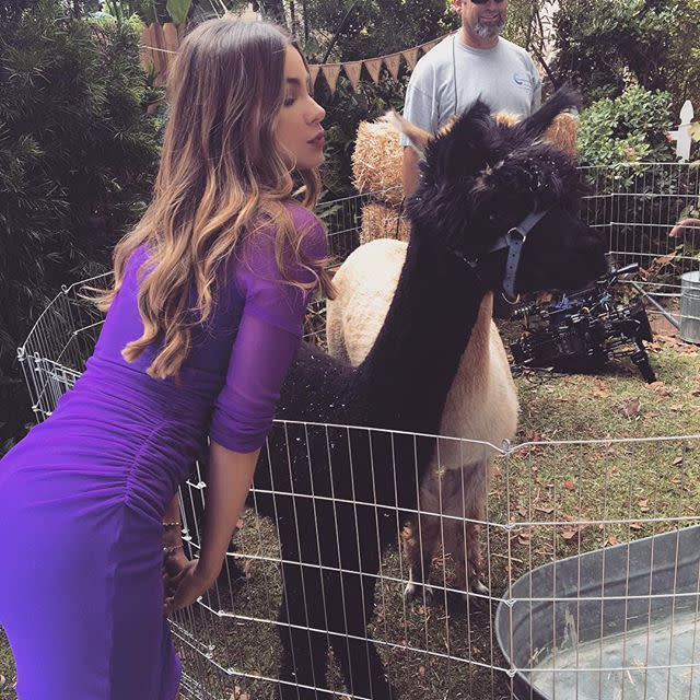 <p>Y cuando quiso besar a esta llama fue muy divertido/Sofia Vergara/Instagram </p>