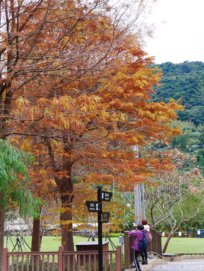 台北｜士林官邸公園