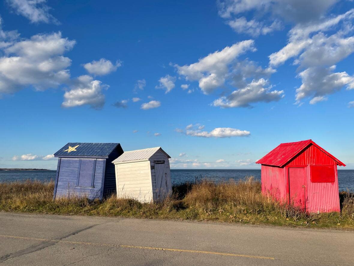 Residents of the newly amalgamented municipality of Belle-Baie, where this toast to the Acadian flag can be found by Chaleur Bay, say they feel left out by a decision to issue public notices in French only. (Alexandre Silberman/CBC - image credit)