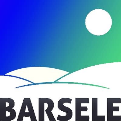 Barsele Minerals Corp. Logo (CNW Group/Barsele Minerals Corp.)