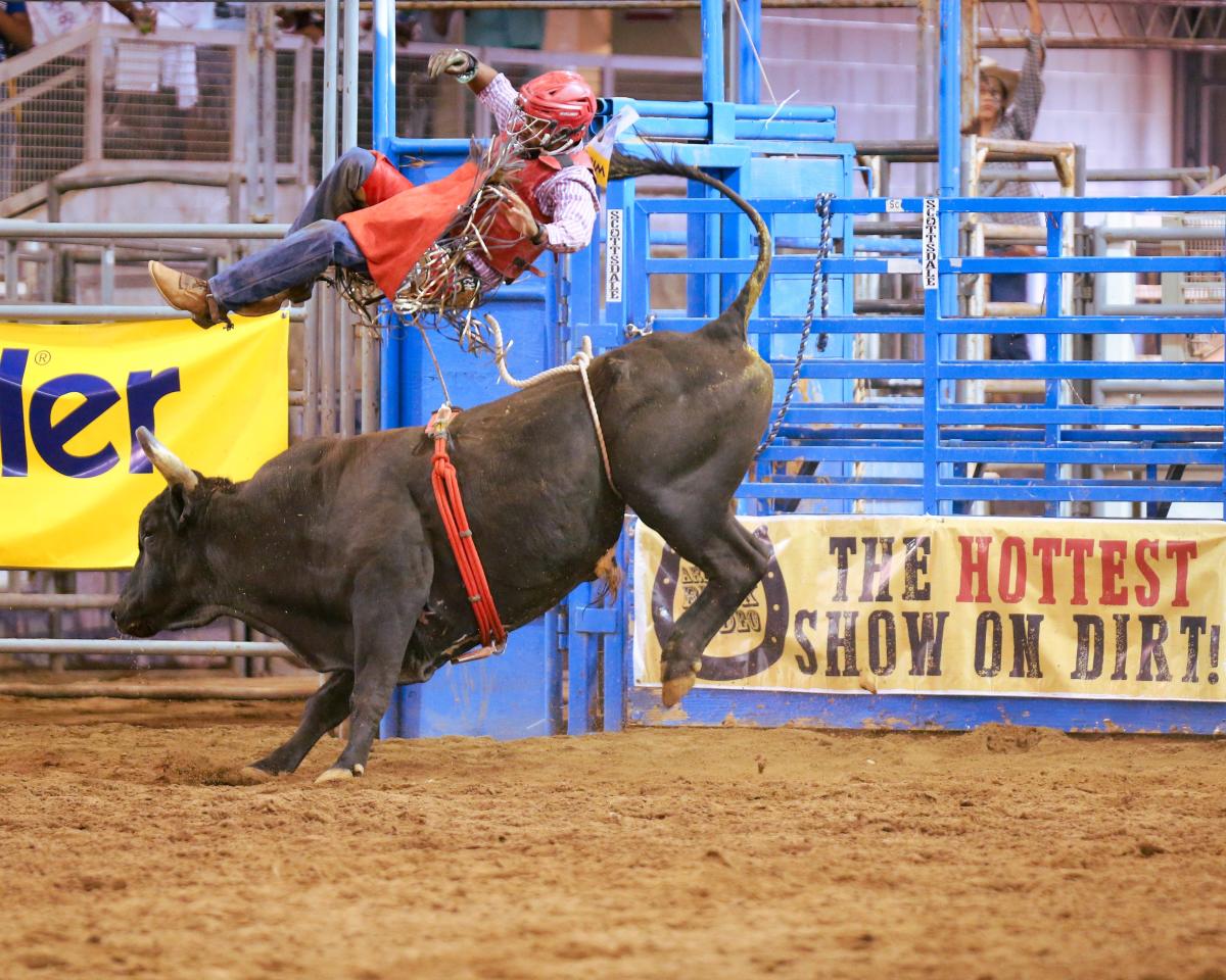 Roping, riding and rodeo clowns Here's a complete guide to the Arizona