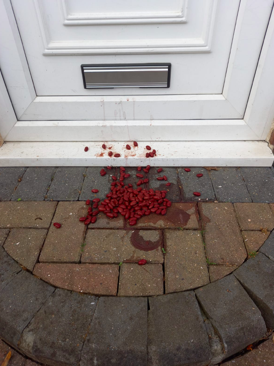 Burglars reportedly use kidney beans to scope out whether or not people are at home. (Reach)
