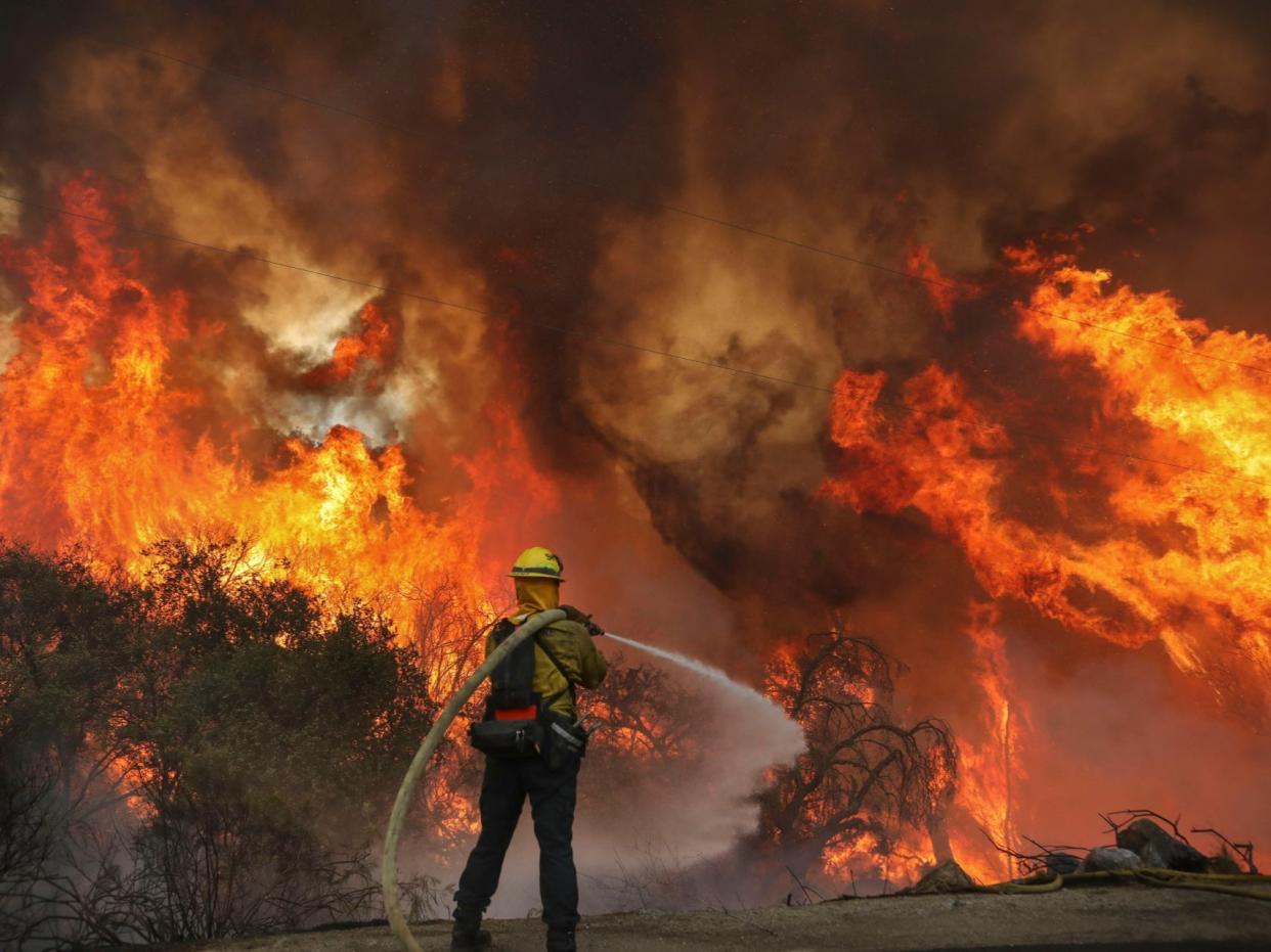 San Miguel County Firefighters battle a brush fire along Japatul Road during the Valley Fire in Jamul, California over the weekend (Getty)