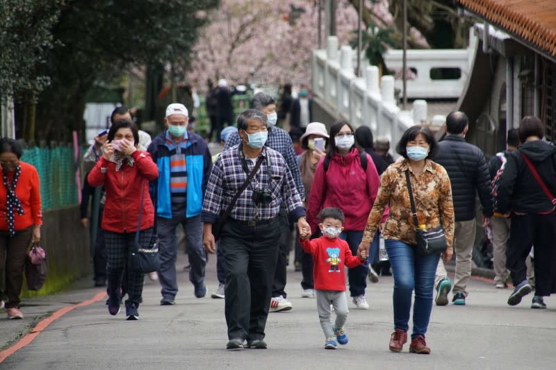 淡水天元宮吉野櫻盛開，不少民眾出門賞花，不忘戴上口罩。（盧逸峰攝）