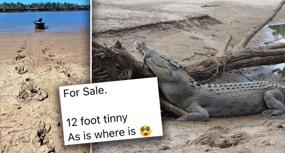 Left - tracks leading up to Rodney's boat. Right - a crocodile on the flats with his head up. Insert - a screenshot of the advertisement offering the boat for sale.