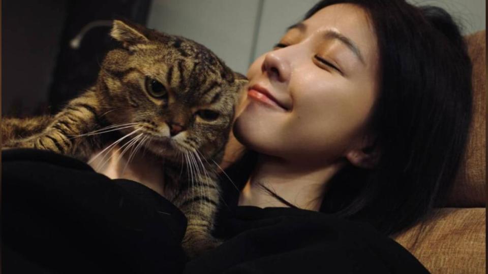 邵雨薇常分享和愛貓的日常。（圖／翻攝自邵雨薇IG）