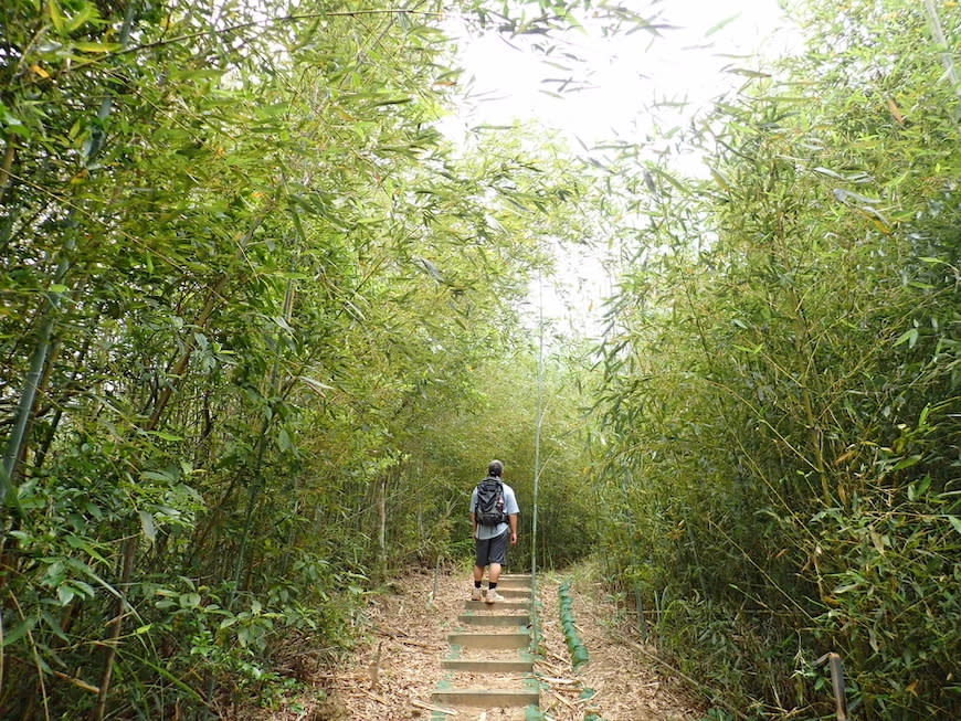 苗栗鐘樓古道