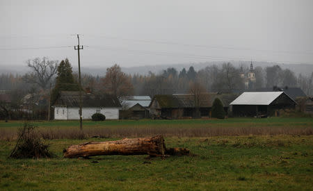 A general view of the village in Sulomice, near Kalinowka, Poland November 25, 2018. REUTERS/Kacper Pempel/Files